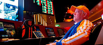 Онлайн казино Spinamba Casino